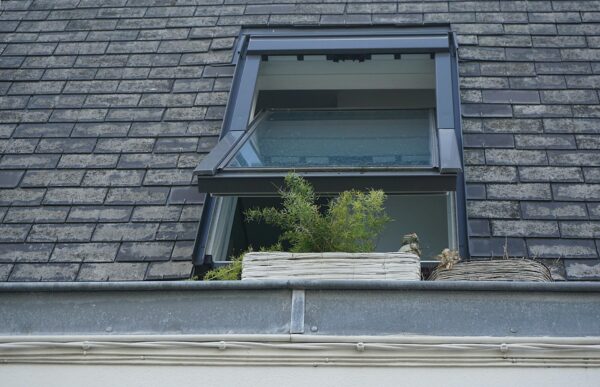 A close-up view of a skylight window with plants on a tiled roof, showcasing modern architecture and greenery.